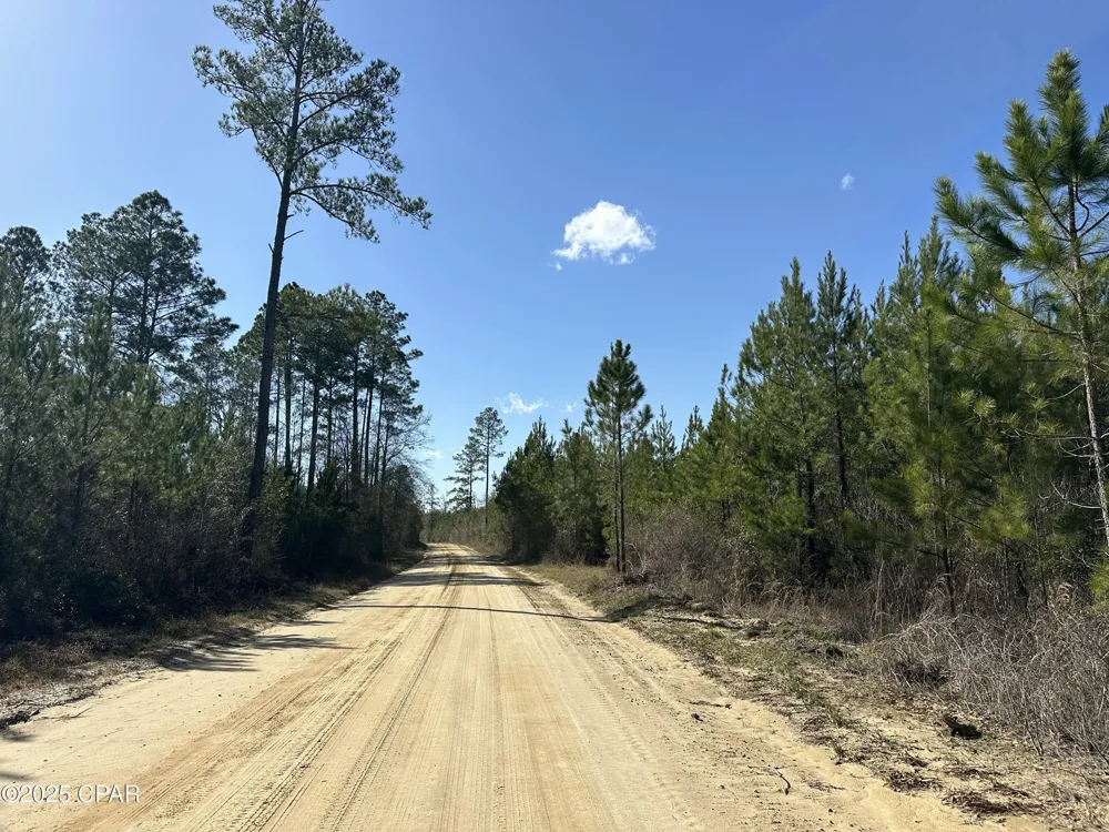 6317 Harris Stevenson Road Bonifay, FL 32425