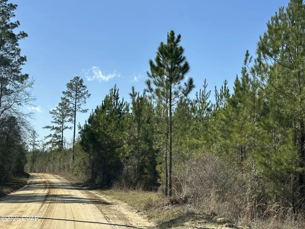 6317 Harris Stevenson Road Bonifay, FL 32425