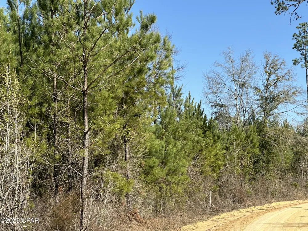 6317 Harris Stevenson Road Bonifay, FL 32425