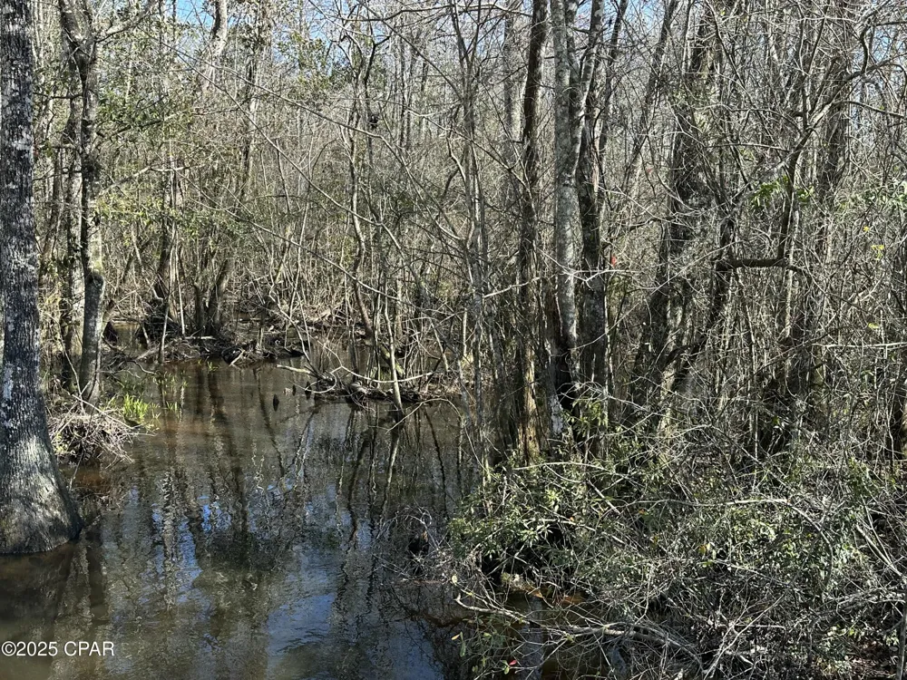 6317 Harris Stevenson Road Bonifay, FL 32425