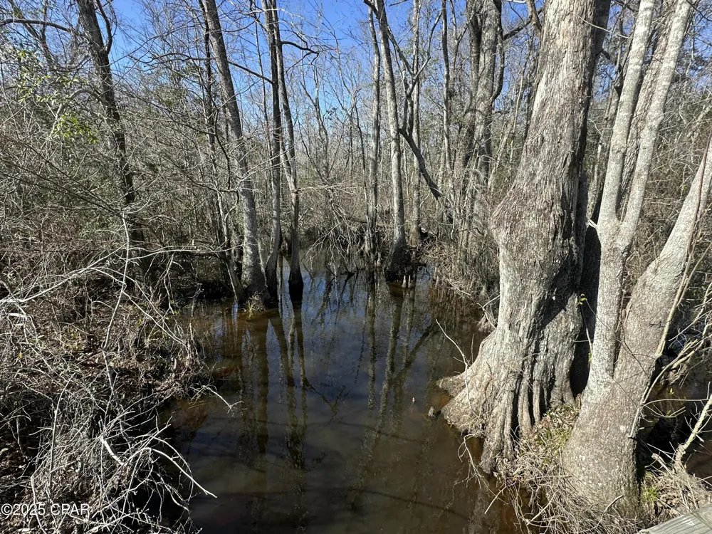 6317 Harris Stevenson Road Bonifay, FL 32425