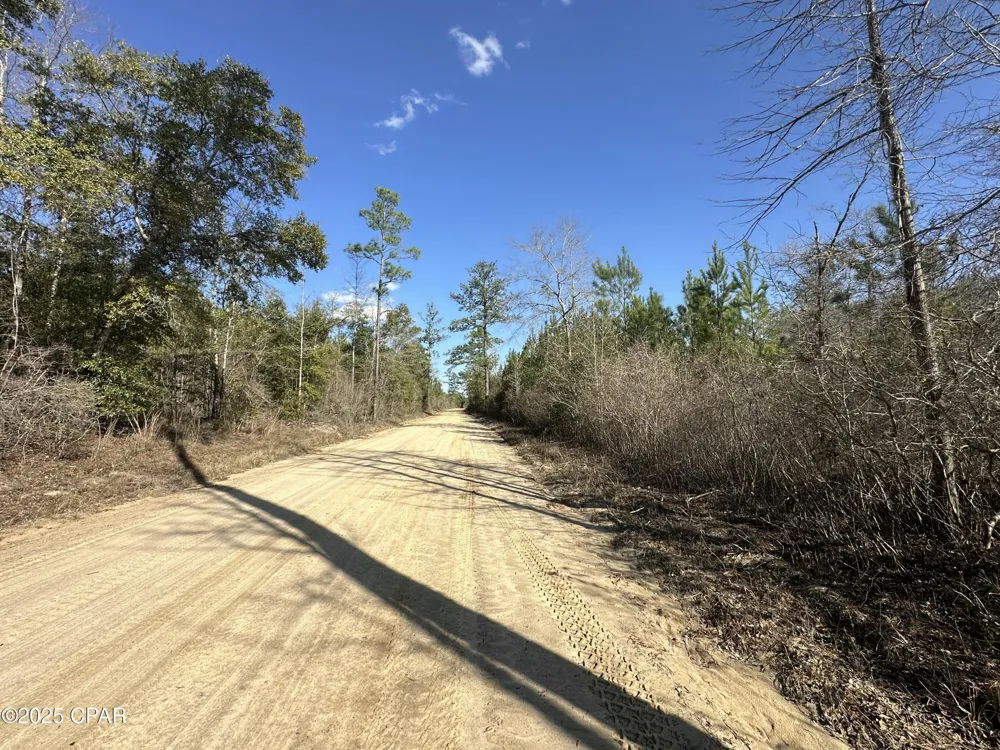 6317 Harris Stevenson Road Bonifay, FL 32425