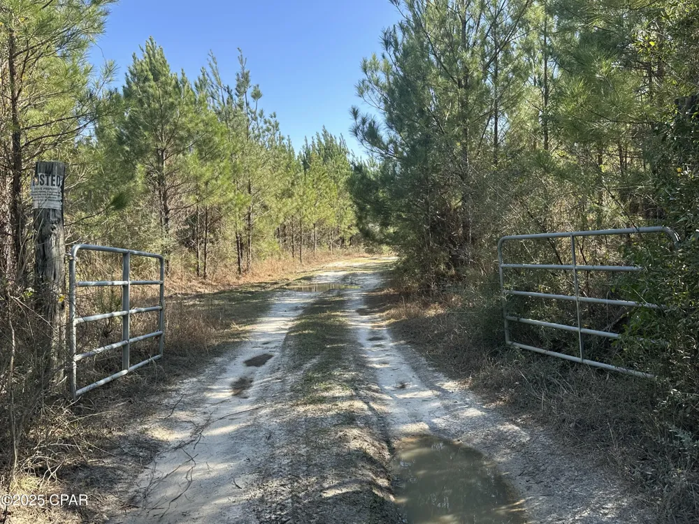 6317 Harris Stevenson Road Bonifay, FL 32425