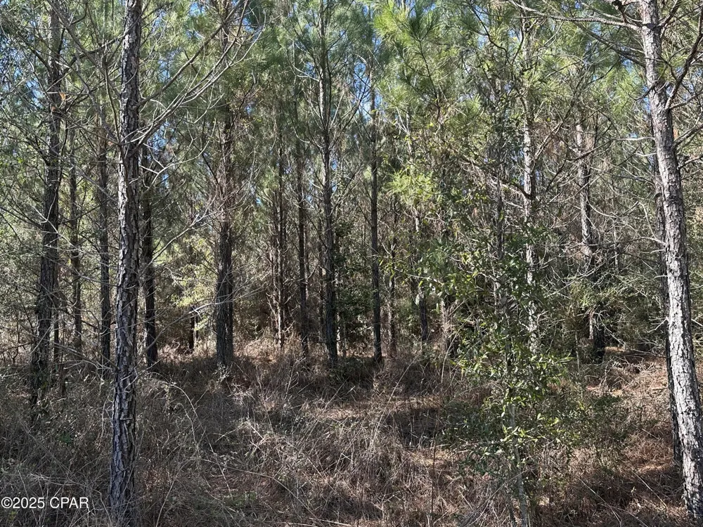 6317 Harris Stevenson Road Bonifay, FL 32425