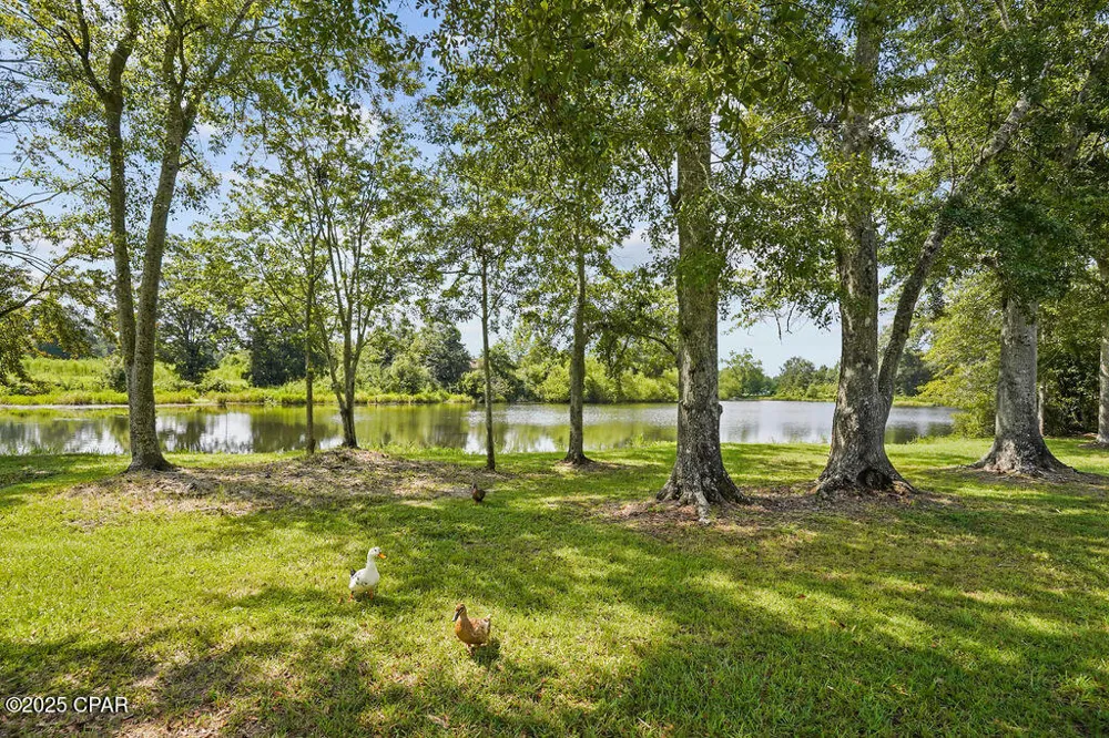 1528 Hilltop Drive Bonifay, FL 32425