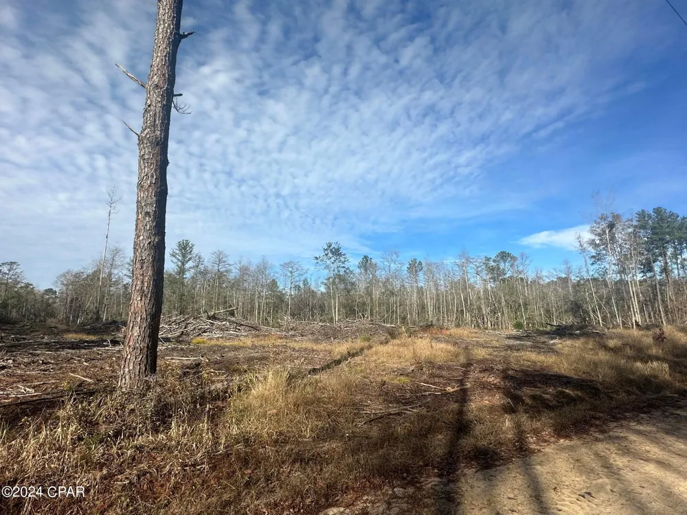 6331 Sellers Road Bonifay, FL 32425