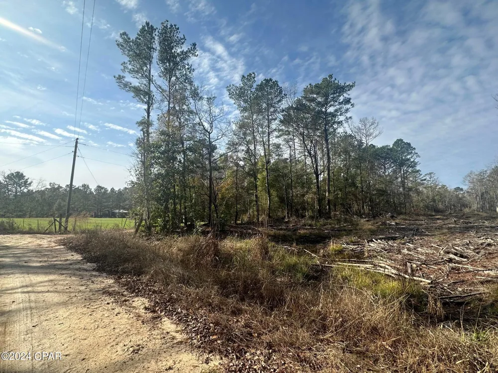 6331 Sellers Road Bonifay, FL 32425