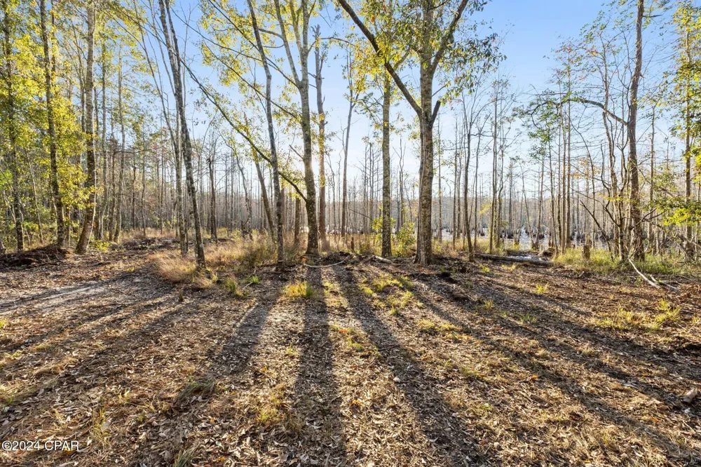 1486 Highway 79 Bonifay, FL 32425