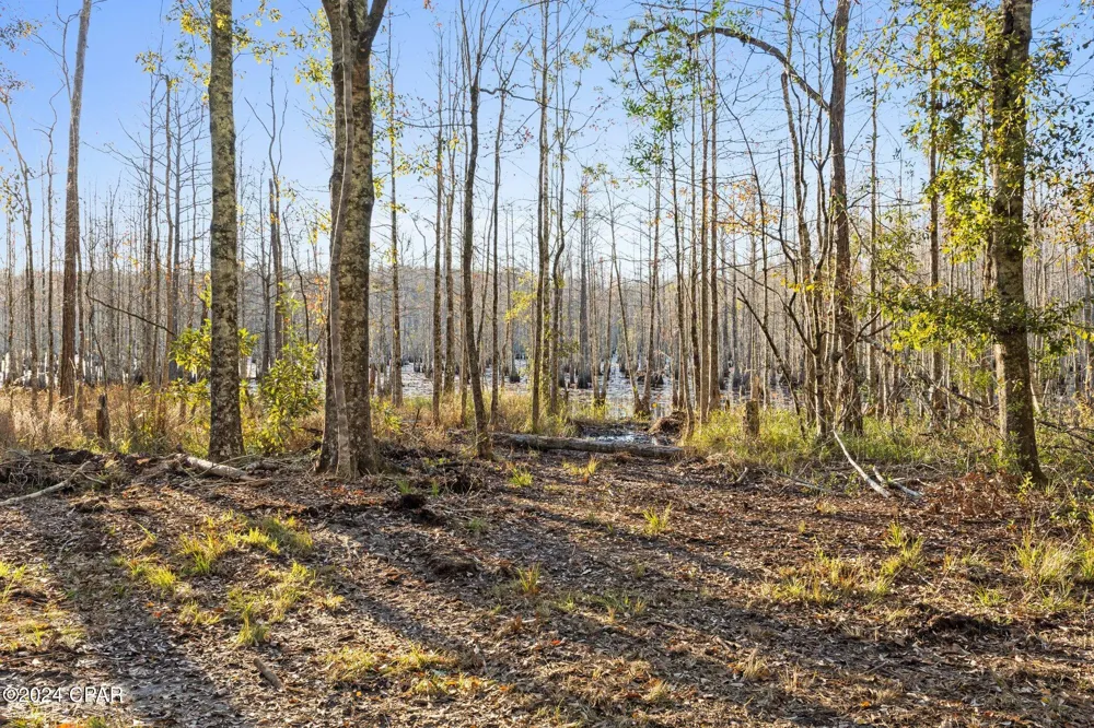 1486 Highway 79 Bonifay, FL 32425