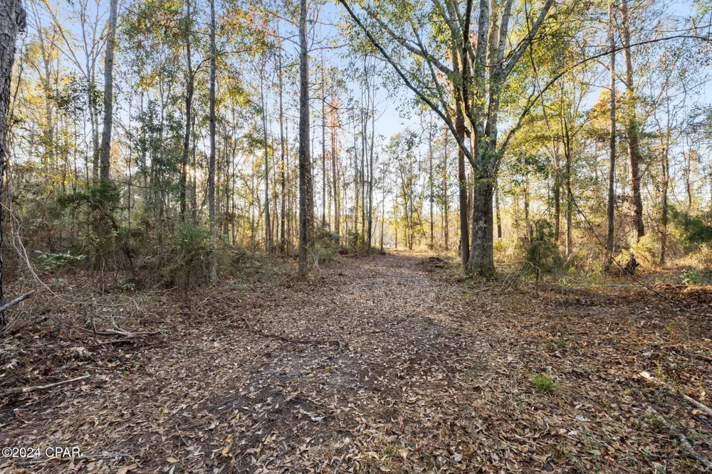 1486 Highway 79 Bonifay, FL 32425
