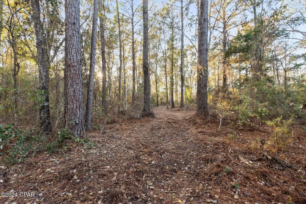 1486 Highway 79 Bonifay, FL 32425