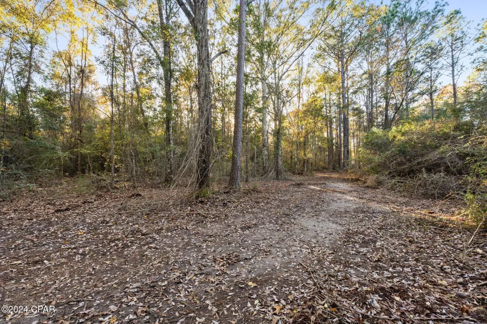 1486 Highway 79 Bonifay, FL 32425