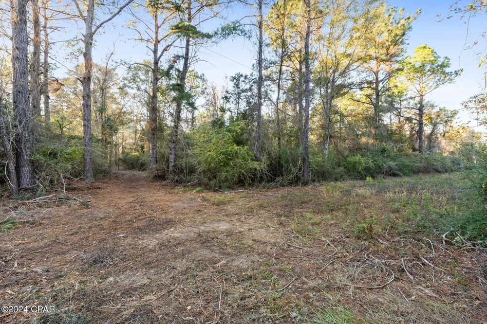 1486 Highway 79 Bonifay, FL 32425