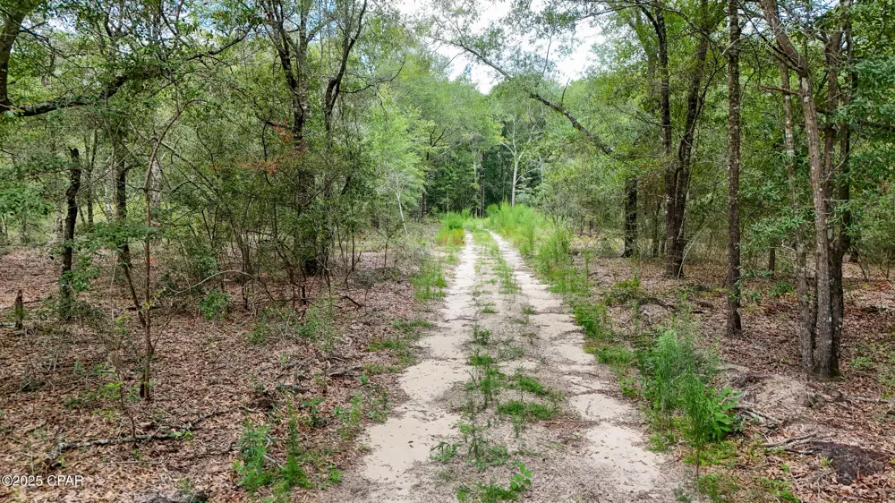 23 Seacoast Way Defuniak Springs, FL 32433