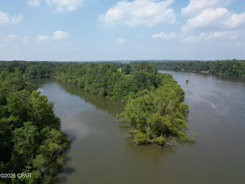 8599 Gadsen Trail Sneads, FL 32460