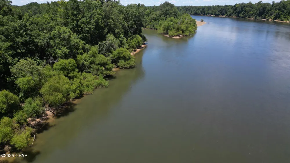 8599 Gadsen Trail Sneads, FL 32460