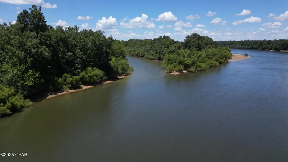 8599 Gadsen Trail Sneads, FL 32460