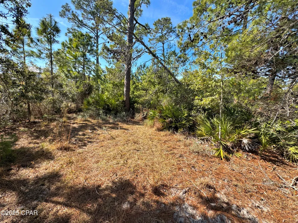 5224 Kingston Boulevard Panama City, FL 32408
