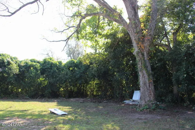 15953 Chipola Street Altha, FL 32421