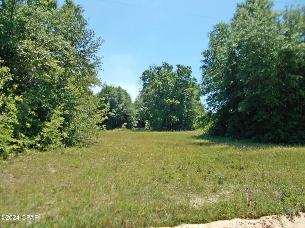 2 Melon Lane Grand Ridge, FL 32442