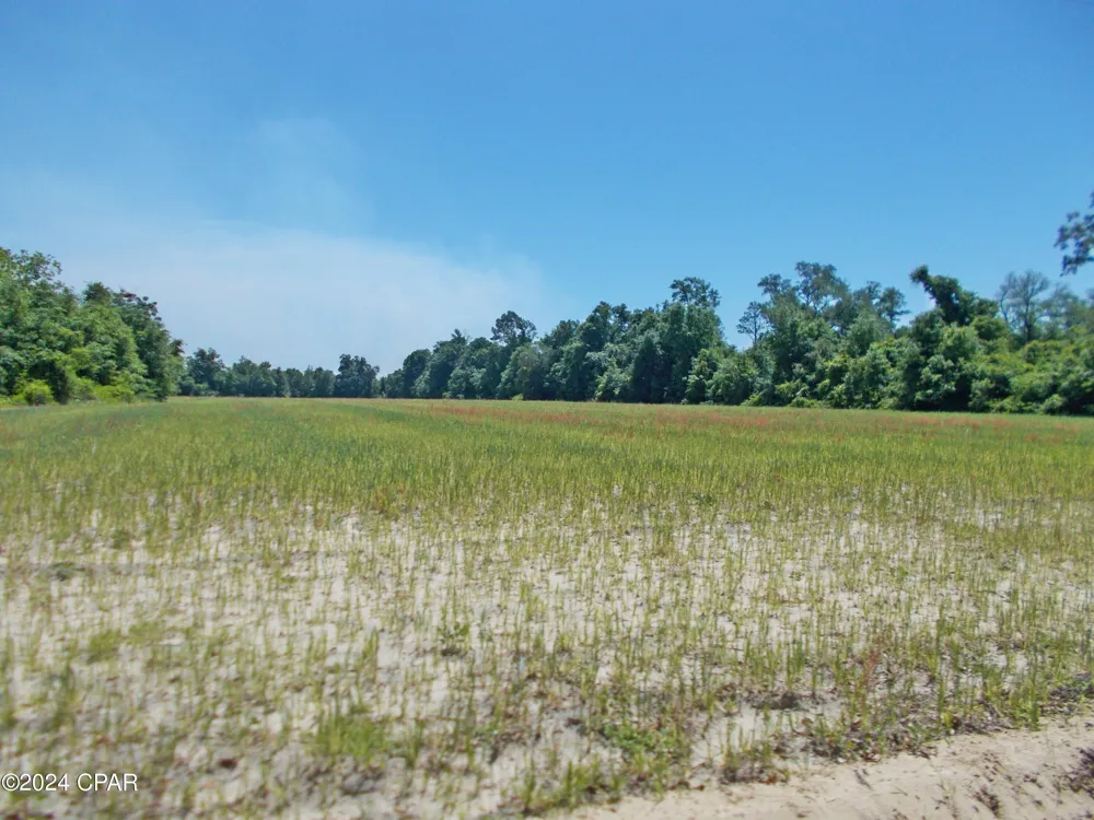 2 Melon Lane Grand Ridge, FL 32442