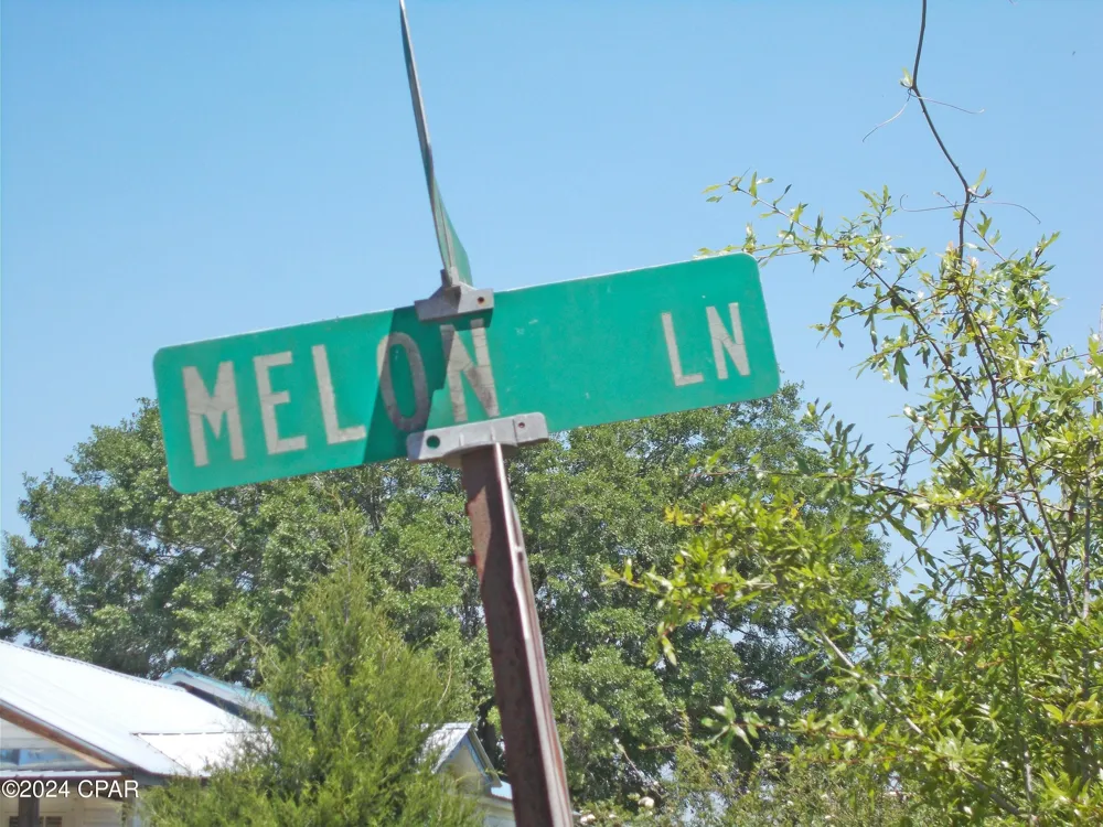 2 Melon Lane Grand Ridge, FL 32442