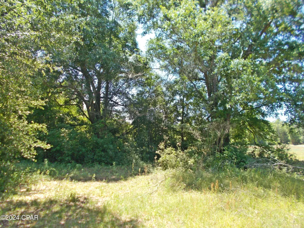 2 Melon Lane Grand Ridge, FL 32442