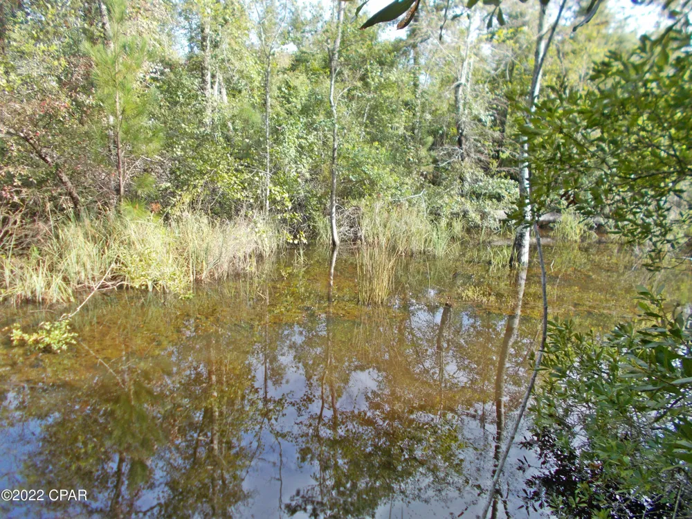 Perry Road Cottondale, FL 32431
