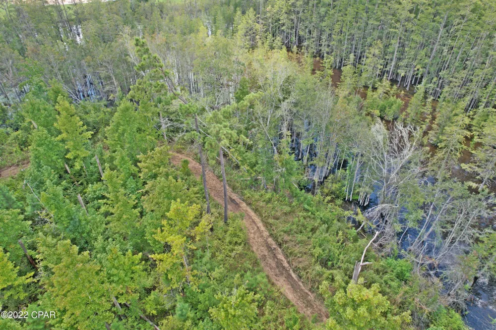 Perry Road Cottondale, FL 32431