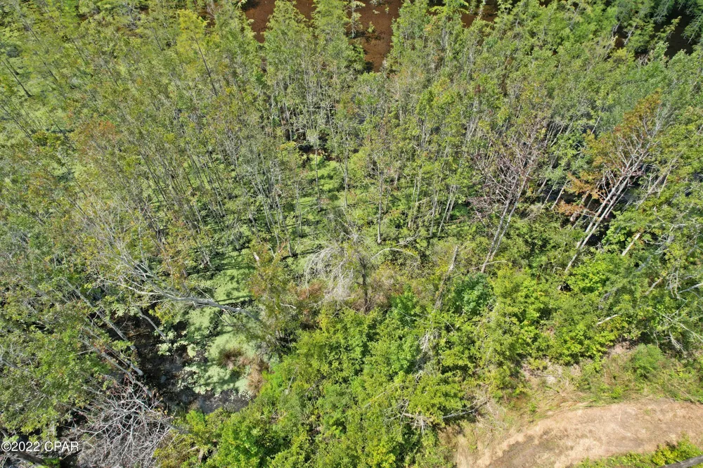 Perry Road Cottondale, FL 32431