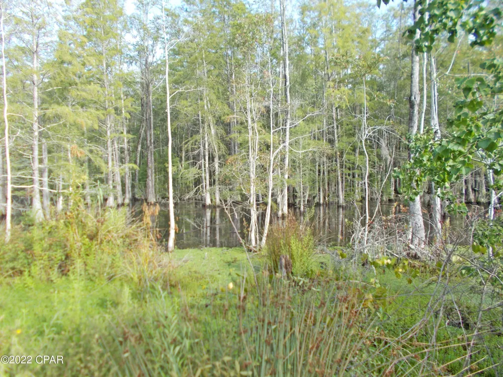 Perry Road Cottondale, FL 32431