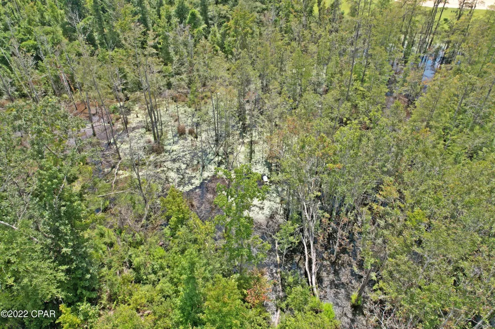 Perry Road Cottondale, FL 32431