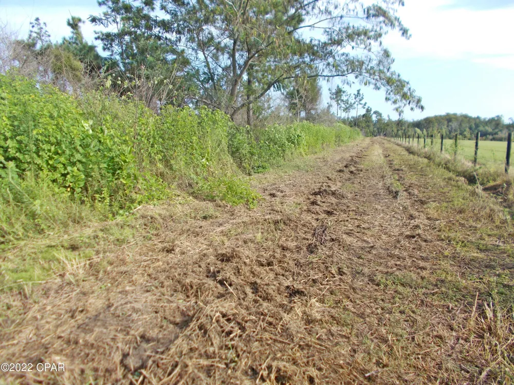 Perry Road Cottondale, FL 32431