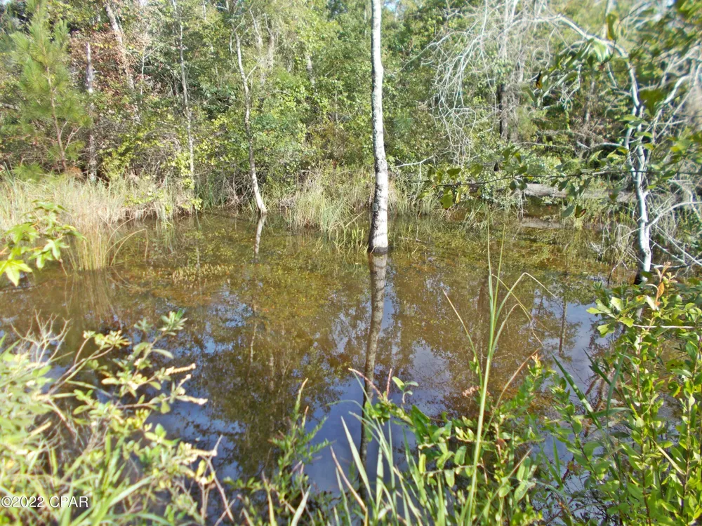 Perry Road Cottondale, FL 32431