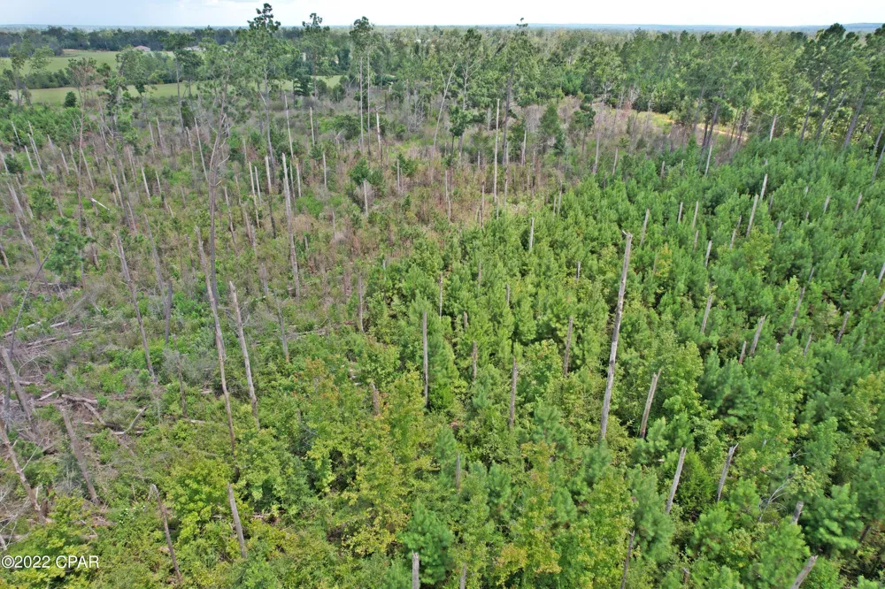 Perry Road Cottondale, FL 32431