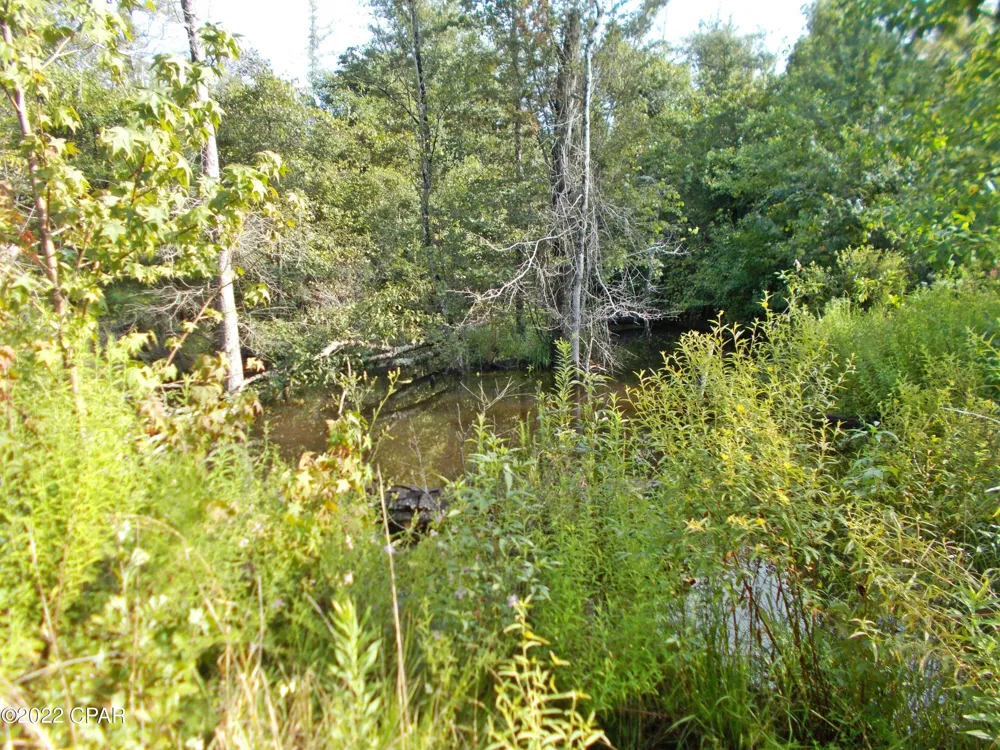 Perry Road Cottondale, FL 32431