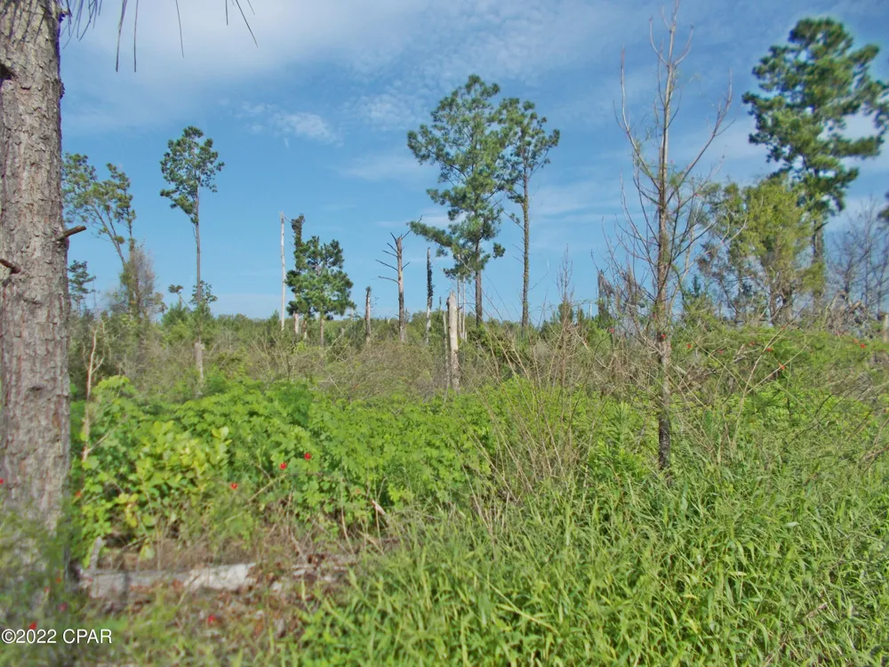 Perry Road Cottondale, FL 32431