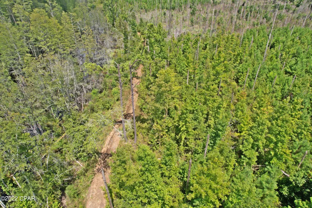 Perry Road Cottondale, FL 32431