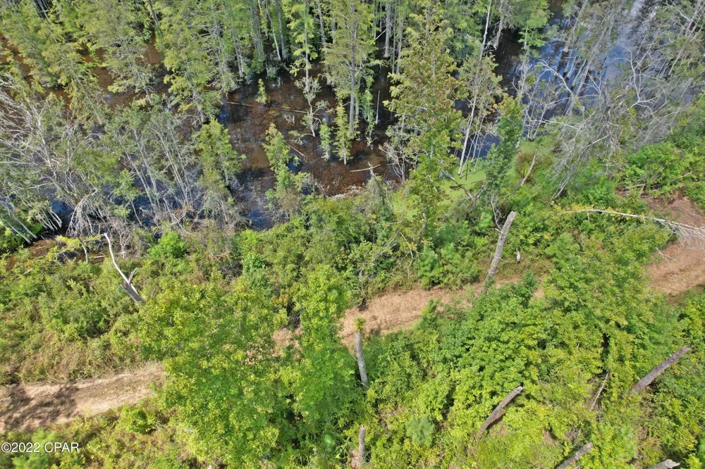 Perry Road Cottondale, FL 32431