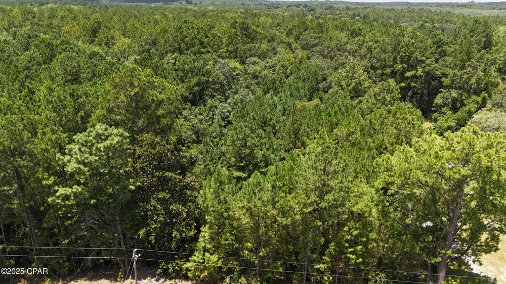 1794 Highway 79 Bonifay, FL 32425
