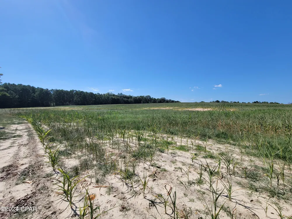 4 Bradley Road Westville, FL 32464