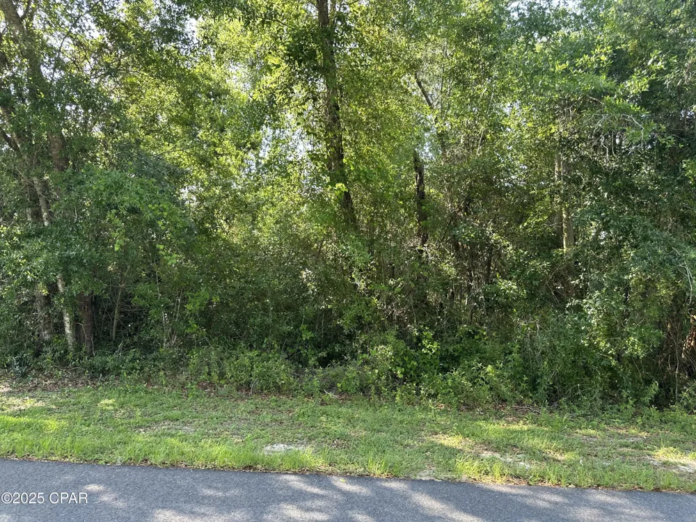 6009 Wedgewood Lane Youngstown, FL 32466