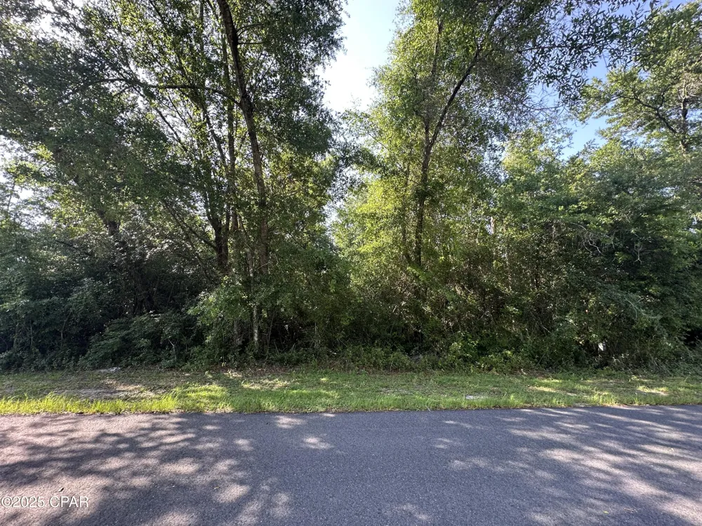 6009 Wedgewood Lane Youngstown, FL 32466