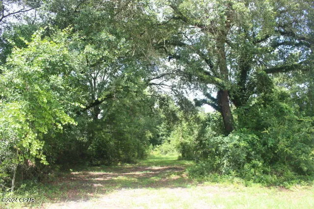 4583 Dickson Road Greenwood, FL 32443