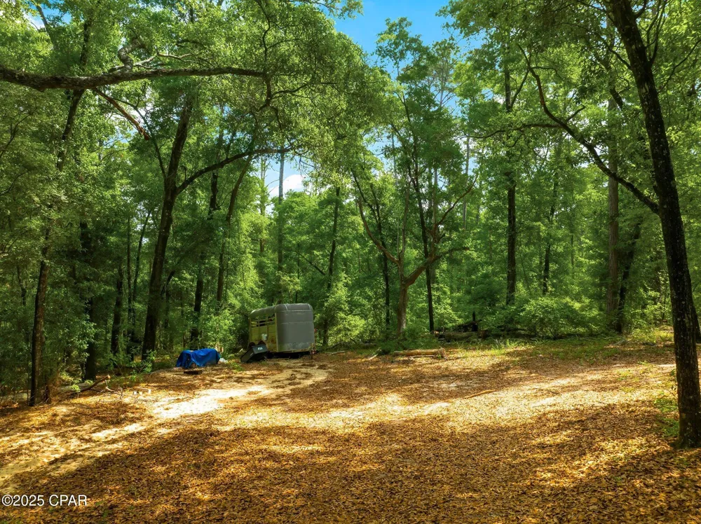 Corgi Lane Chipley, FL 32428