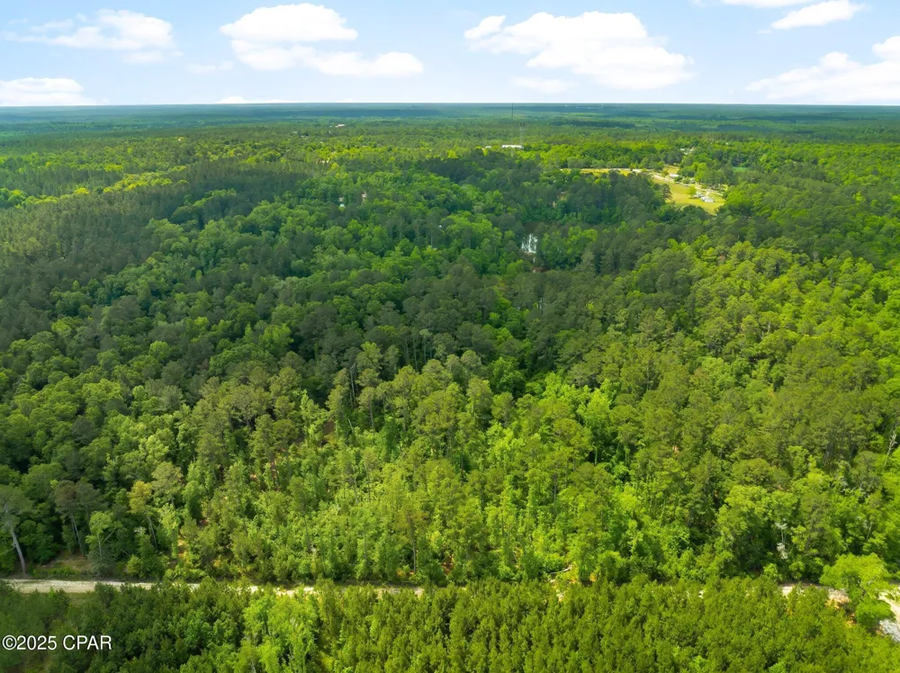 Corgi Lane Chipley, FL 32428
