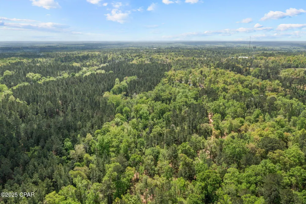 Spring Lakes Drive Chipley, FL 32428