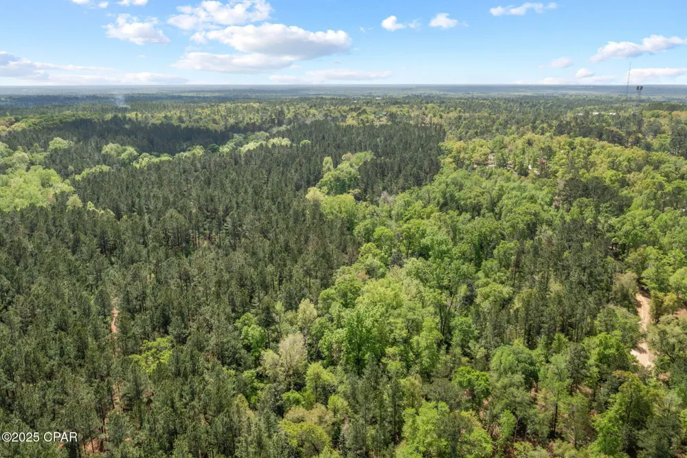 Spring Lakes Drive Chipley, FL 32428