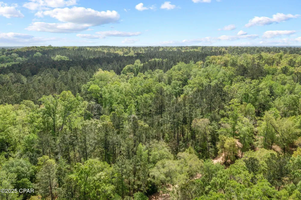 Spring Lakes Drive Chipley, FL 32428