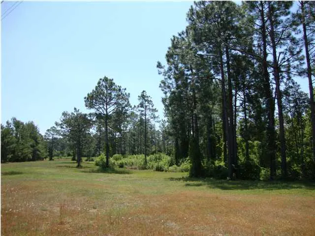 11802 Highway 77 Southport, FL 32409